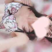 ヒメ日記 2026/08/08 02:32 投稿 ゆいか★洗練された圧倒的美貌★ Bell～S級美女お姉様・人妻デリヘル～