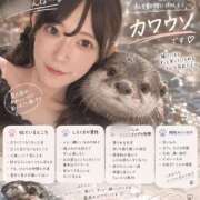 ヒメ日記 2026/09/24 22:34 投稿 ゆいか★洗練された圧倒的美貌★ Bell～S級美女お姉様・人妻デリヘル～