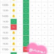 ヒメ日記 2026/10/11 13:03 投稿 ゆいか★洗練された圧倒的美貌★ Bell～S級美女お姉様・人妻デリヘル～