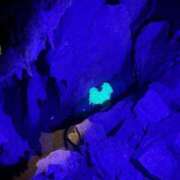 ヒメ日記 2026/02/19 13:24 投稿 やみ 密着指導！バカンス学園 尼崎校