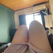 ヒメ日記 2026/02/13 10:46 投稿 かれん サマンサ(和歌山)