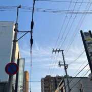 かれん お散歩したよ~🐶 サマンサ(和歌山)