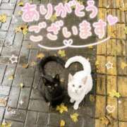 ヒメ日記 2026/08/20 13:33 投稿 なお(昭和39年生まれ) 熟年カップル名古屋～生電話からの営み～
