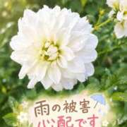 ヒメ日記 2026/09/08 18:50 投稿 なお(昭和39年生まれ) 熟年カップル名古屋～生電話からの営み～