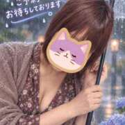 ヒメ日記 2026/09/28 08:24 投稿 なお(昭和39年生まれ) 熟年カップル名古屋～生電話からの営み～