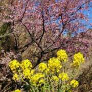 ヒメ日記 2026/02/15 22:19 投稿 まなみ ももいろワイフ(久喜)