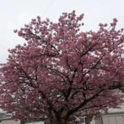 ヒメ日記 2026/02/28 09:26 投稿 いぬい 熟女の風俗最終章 沼津店