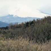 ヒメ日記 2026/03/13 11:08 投稿 いぬい 熟女の風俗最終章 沼津店