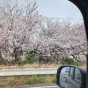 ヒメ日記 2026/04/07 08:23 投稿 いぬい 熟女の風俗最終章 沼津店