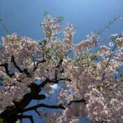 ヒメ日記 2026/04/06 13:37 投稿 みやび 11チャンネル