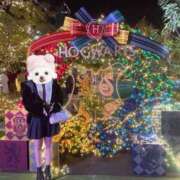 ヒメ日記 2026/02/11 11:29 投稿 有希-ゆき【FG系列】 ほんつま 沼津店 (FG系列)