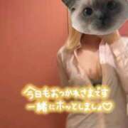 ヒメ日記 2026/07/04 19:02 投稿 みなchan AZUL本庄