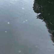 ヒメ日記 2026/05/20 10:15 投稿 りの ビデオdeはんど 横浜校