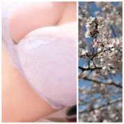 ヒメ日記 2026/03/24 18:54 投稿 すず 華椿（YESグループヨコハマ）