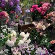 ヒメ日記 2026/03/30 13:04 投稿 にいな JDリフレ