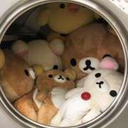 ヒメ日記 2026/02/17 00:36 投稿 にこり れもんガールズ