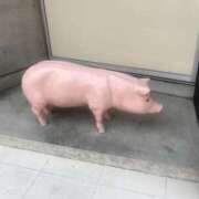 ヒメ日記 2026/02/17 18:25 投稿 にこり れもんガールズ