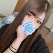 ヒメ日記 2026/02/14 16:20 投稿 のあ 石庭