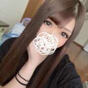 ヒメ日記 2026/02/23 09:00 投稿 のあ 石庭