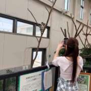 ヒメ日記 2026/06/13 19:34 投稿 のあ 石庭