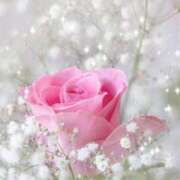 しおん 3日と5日のお礼 奥鉄オクテツ神奈川店（デリヘル市場グループ）