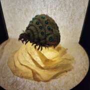 かのん（妊婦） 出勤します☆ 西川口ちゃんこ