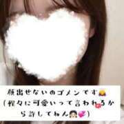 ヒメ日記 2026/03/16 01:37 投稿 ひめか 秋葉原鑑賞ガール