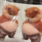 ヒメ日記 2026/02/23 04:01 投稿 けい いきなりまかさんかい