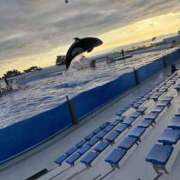 ヒメ日記 2026/02/25 05:31 投稿 けい いきなりまかさんかい