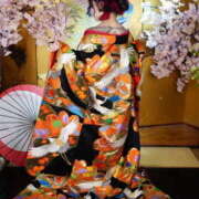 ヒメ日記 2026/03/03 23:01 投稿 けい いきなりまかさんかい