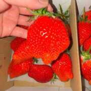 ヒメ日記 2026/03/01 23:49 投稿 なな 新宿プチドール