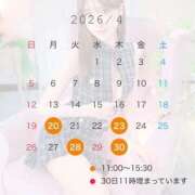 ヒメ日記 2026/04/08 02:02 投稿 最上かれん LUXE(リュクス)