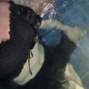 ヒメ日記 2026/03/20 13:23 投稿 SAKURA【サクラ】 LOVEキタ兎我野店