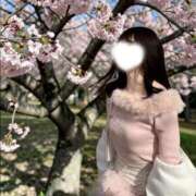 ヒメ日記 2026/04/02 17:37 投稿 SAKURA【サクラ】 LOVEキタ兎我野店