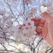 ヒメ日記 2026/04/08 14:53 投稿 SAKURA【サクラ】 LOVEキタ兎我野店