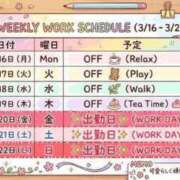 ヒメ日記 2026/03/16 12:16 投稿 つかさ Lolipop 横浜