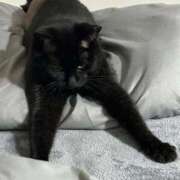 ヒメ日記 2026/03/27 18:06 投稿 かえで Lolipop 横浜