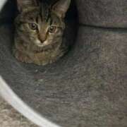 ヒメ日記 2026/04/06 16:12 投稿 かえで Lolipop 横浜