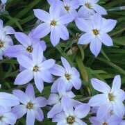 ヒメ日記 2026/03/09 23:19 投稿 永瀬あおい お姉さんCLUB