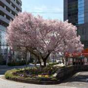 ヒメ日記 2026/04/09 18:18 投稿 古谷 モアグループ春日部人妻城