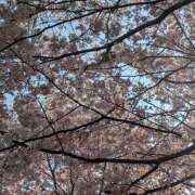 ヒメ日記 2026/03/30 18:42 投稿 はな 神田エマニエル