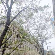 ヒメ日記 2026/04/05 17:31 投稿 はな 神田エマニエル