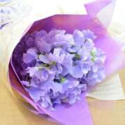 ヒメ日記 2026/02/20 09:42 投稿 指原ななこ(さしはらななこ) 五十路マダムエクスプレス厚木店(カサブランカグループ)