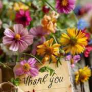 ヒメ日記 2026/03/08 17:54 投稿 指原ななこ(さしはらななこ) 五十路マダムエクスプレス厚木店(カサブランカグループ)