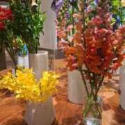 ヒメ日記 2026/04/08 19:42 投稿 指原ななこ(さしはらななこ) 五十路マダムエクスプレス厚木店(カサブランカグループ)