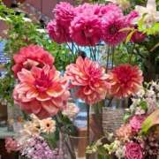 ヒメ日記 2026/04/26 11:38 投稿 指原ななこ(さしはらななこ) 五十路マダムエクスプレス厚木店(カサブランカグループ)