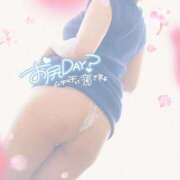 ヒメ日記 2026/02/24 15:04 投稿 永瀬-ながせ MSC 妄想紳士倶楽部 鶯谷店