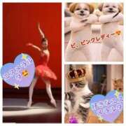 ヒメ日記 2026/02/26 09:21 投稿 神楽（かぐら） 松戸デリヘル　熟女ヘブン