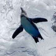 ヒメ日記 2026/02/18 19:28 投稿 ななみ ときめき女学院