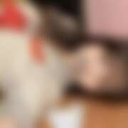 ヒメ日記 2026/10/22 12:41 投稿 ななみ ときめき女学院